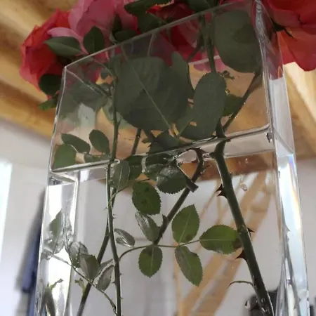 Neuf Proche D'alencon Et Le Mans Apartment *